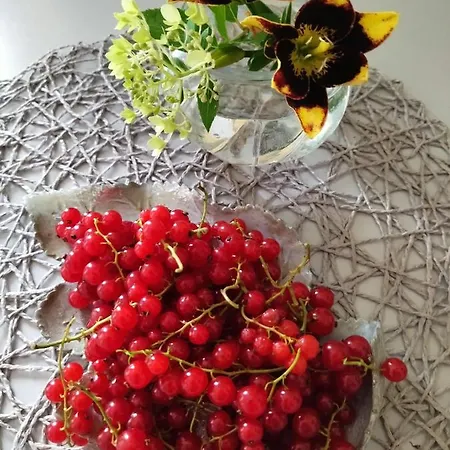 アパート Apartma Peter1a ゴレンスカ地方