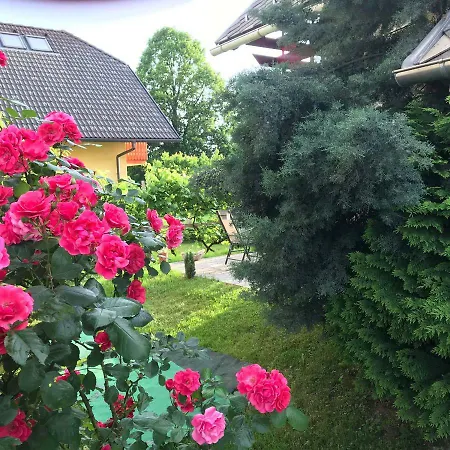 公寓 Apartma Peter1a