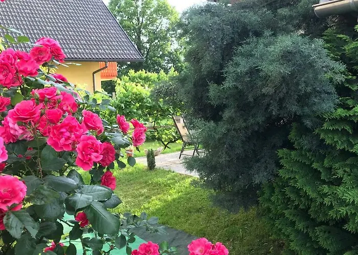 Apartma Apartma Peter1a